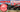 Hunter DuBose Unleashes the Motobilt Jeep Gladiator at The Great American Crawl!