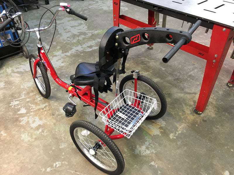 Trike Push Bar for a special little girl