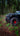Gladius Frame Chop Bumper with Bull Bar for Jeep JK/JL/JT - fits WARN M8274 Motobilt