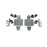 LS Engine Builder Mount Kit