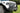 Bolt-On Fabricated Bull Bar for Crusher Bumpers Motobilt