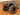 Front Highline Fenders for Jeep JL/JLU/JT Motobilt