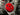 Steering Wheel Center Cap Motobilt